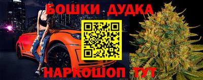 мдпв Бийск