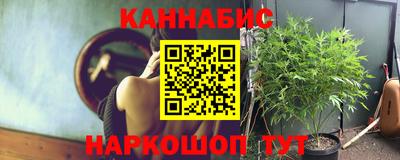 мдпв Бийск