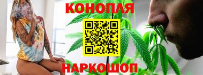 сатива Берёзовский