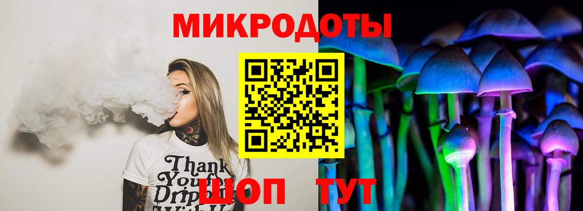 Галлюциногенные грибы Psilocybine cubensis Балаково